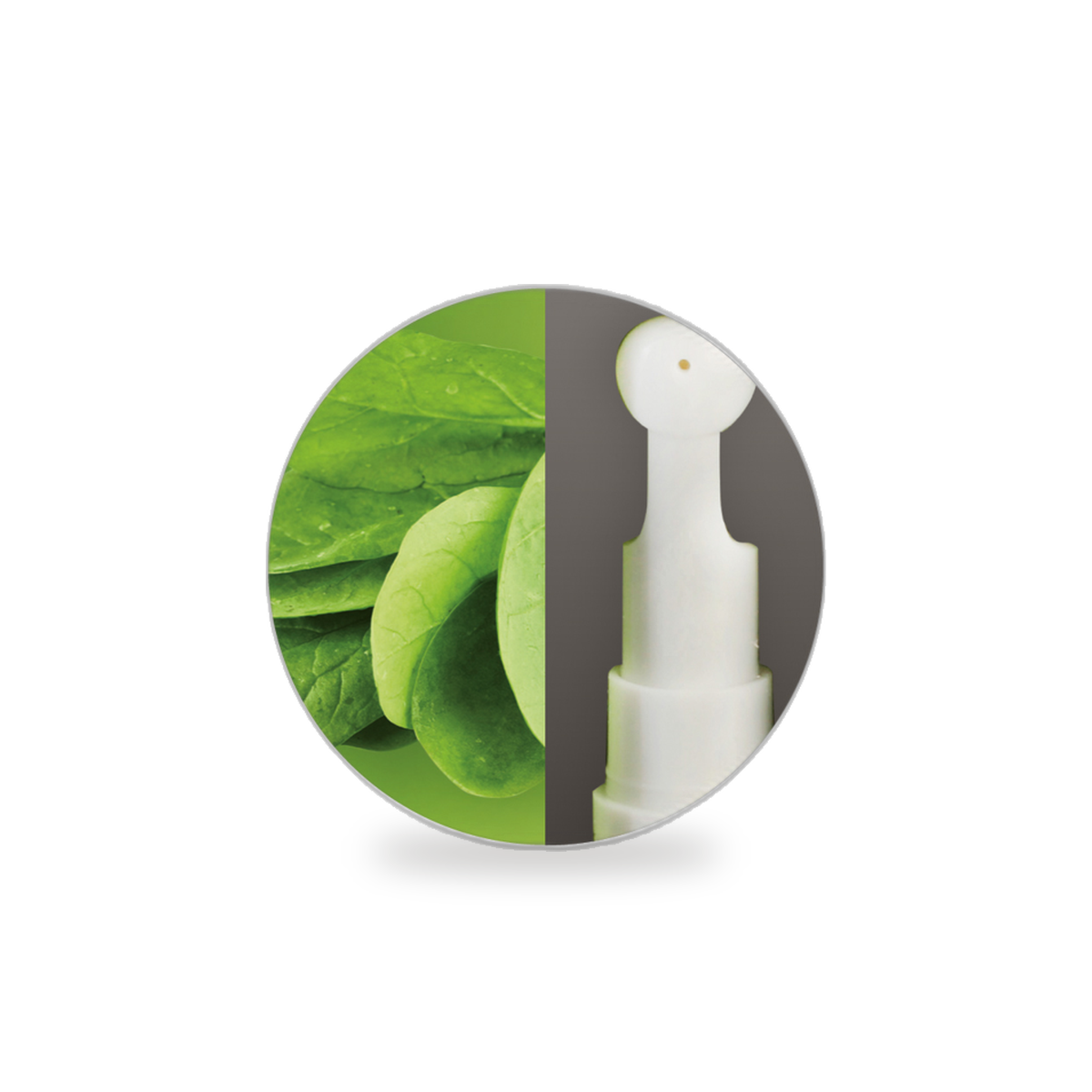 Spinach Delight Lip Balm | Clinique Évia